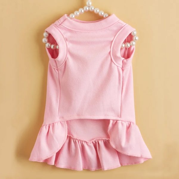 -1966749166140765189