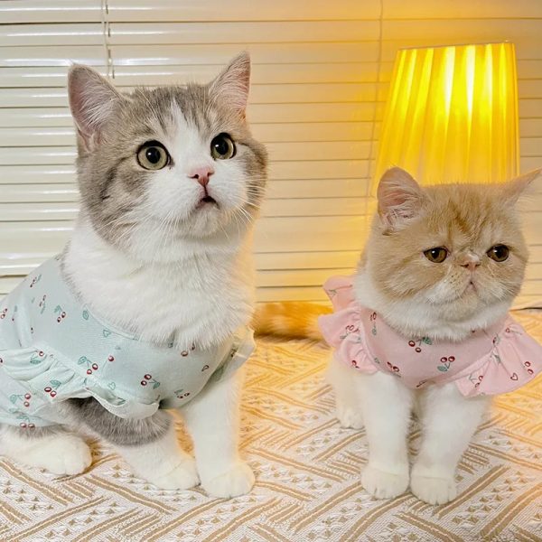 -771357192-1194872537